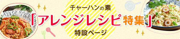 チャーハンの素 商品ブランド 永谷園