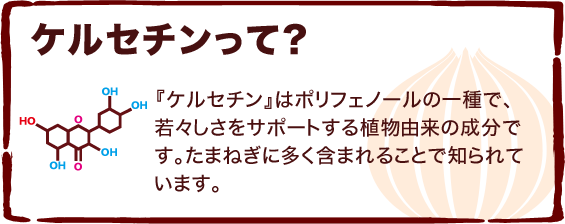 『ケルセチン』はポリフェノールの一種で、若々しさをサポートする植物由来の成分です。たまねぎに多く含まれることで知られています。